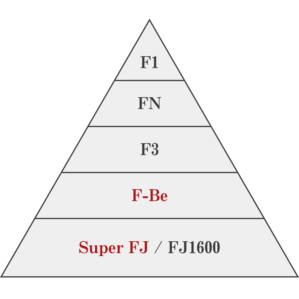 f1 fn f3 フォーミュラビート sfj フォーミュラ