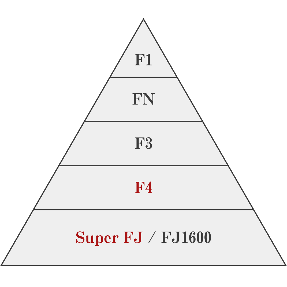 f1 fn f3 フォーミュラ4 sfj フォーミュラ